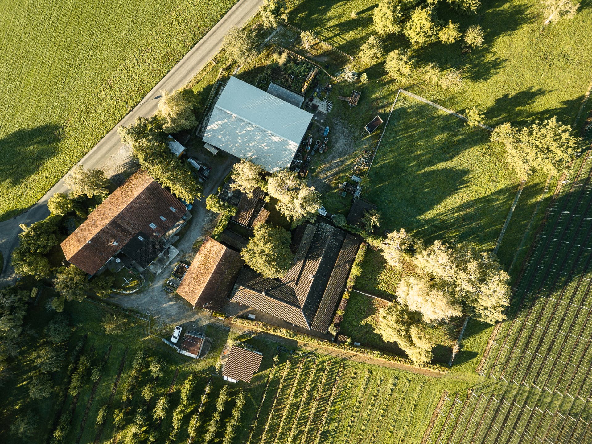 Luftaufnahme der Gebäude des Tierheims Altnau mit Halle und Höfen