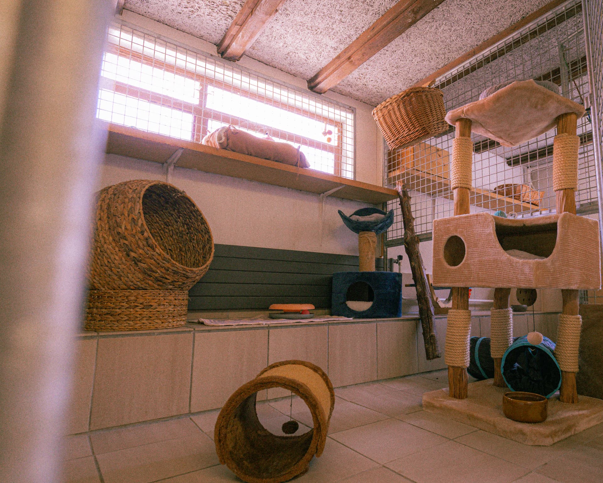Innenbereich der Katzen-Loggia mit Kratzbäumen und Körben