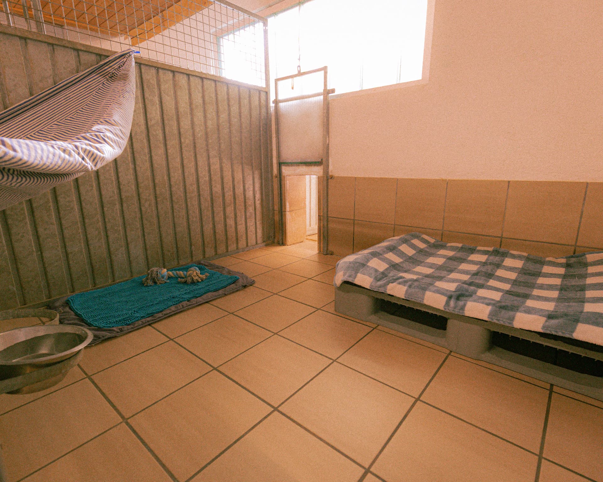 Katzen-Loggia mit Hängematte und Liegeplatz im Tierheim Altnau