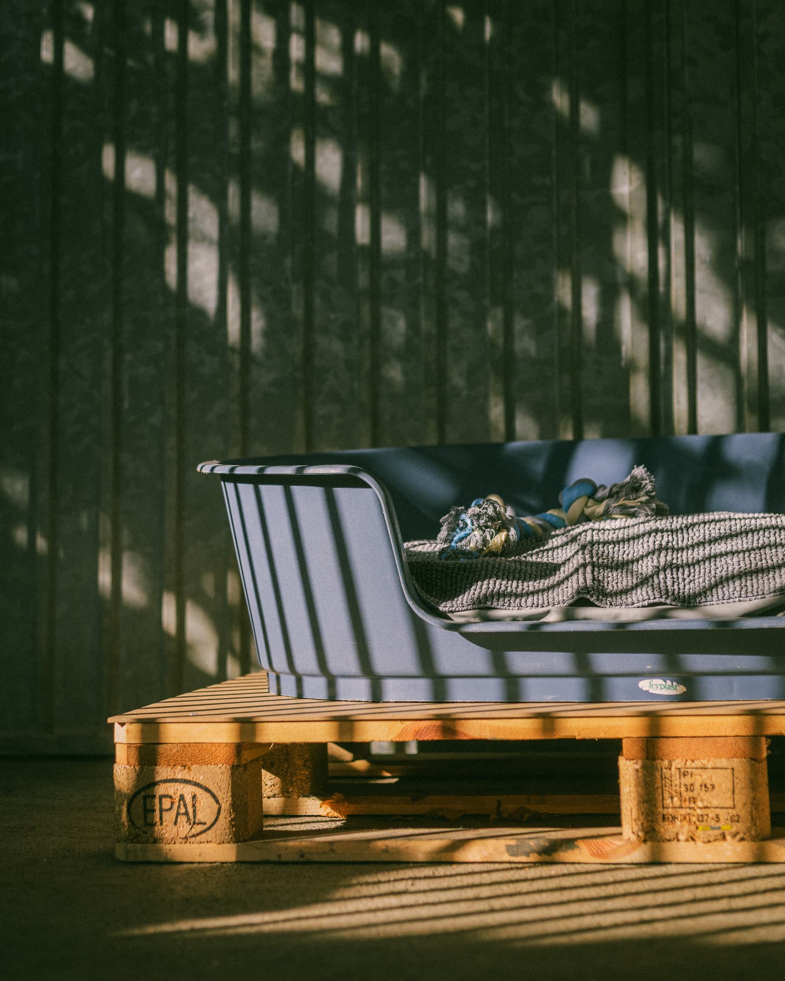 Hundebett auf Palette im Aussenbereich der Tierpension Altnau
