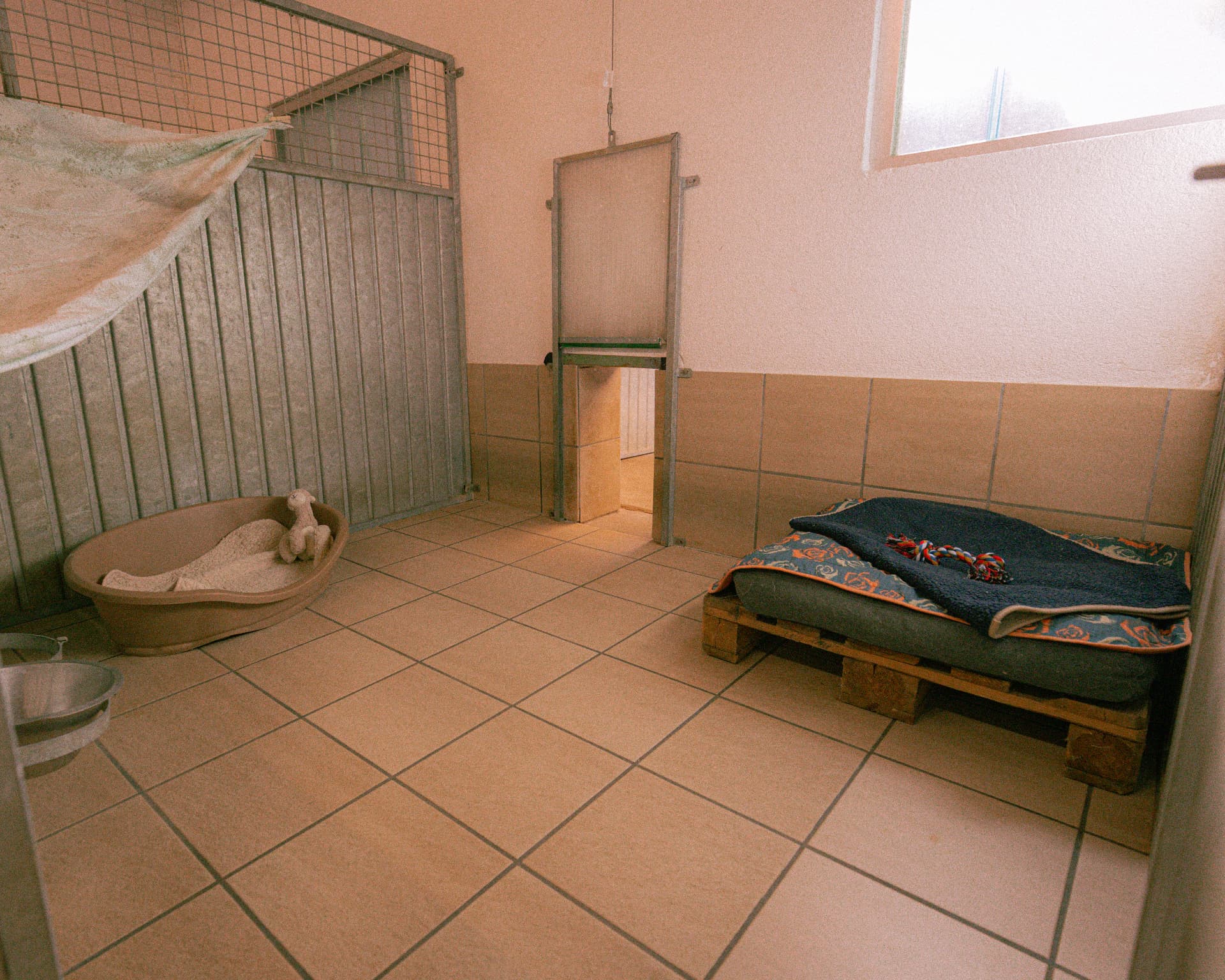 Katzenabteil mit Körbchen und Hängematte in der Tierpension Altnau